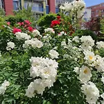 Aparthotel Amara Sunny Sunny Beach