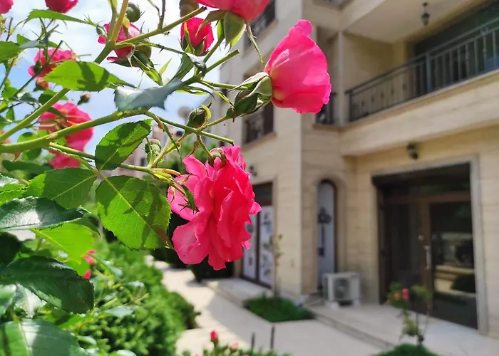 Amara Sunny 阳光海滩