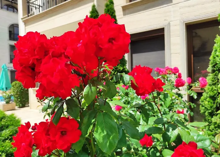 Amara Sunny Aparthotel Sluneční pobřeží