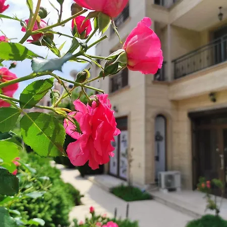 Amara Sunny Slantschew brjag