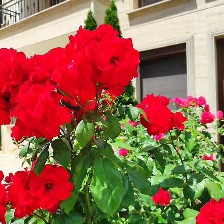 Amara Sunny Aparthotel Slantschew brjag